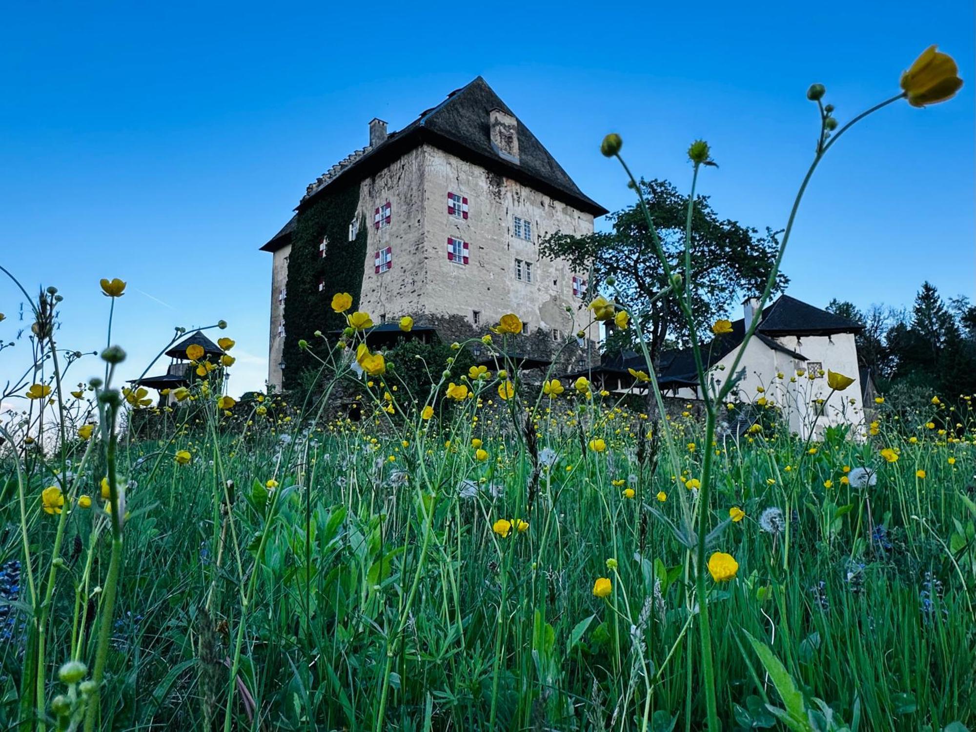 Schloss Moosburg Gaestehaus Dış mekan fotoğraf